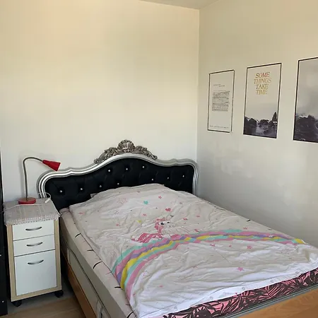 Simple Acces Direct Aeroport D'orly Homestay *